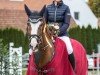 jumper Chicago 214 (Hanoverian, 2015, from Cascalido)