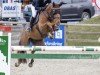 jumper Ferrari (KWPN (Royal Dutch Sporthorse), 2010, from Zirocco Blue)