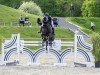 jumper S.e. Estelle (Danish Warmblood, 2012, from Favorit Ask)