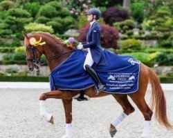 dressage horse DSP Sheldon Cooper (German Sport Horse, 2015, from Sezuan)