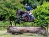 stallion Lucan (Trakehner, 2018, from Desirao xx)