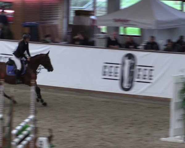 Reitturnier Prussendorf 2024