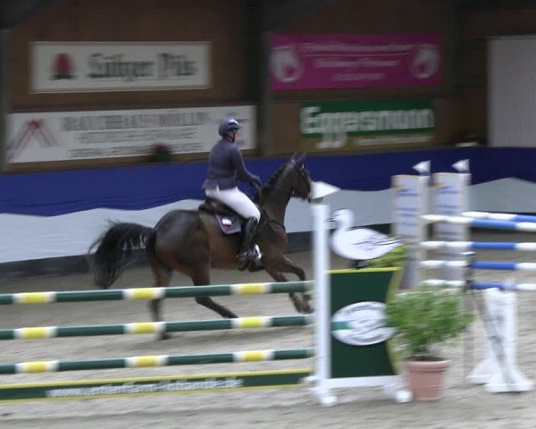 Reitturnier Gadebusch 2024