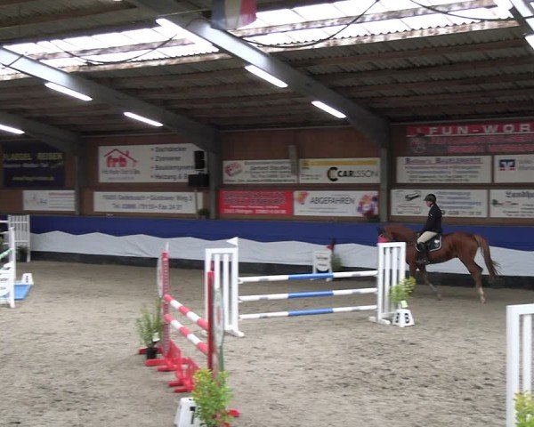 Reitturnier Gadebusch 2024