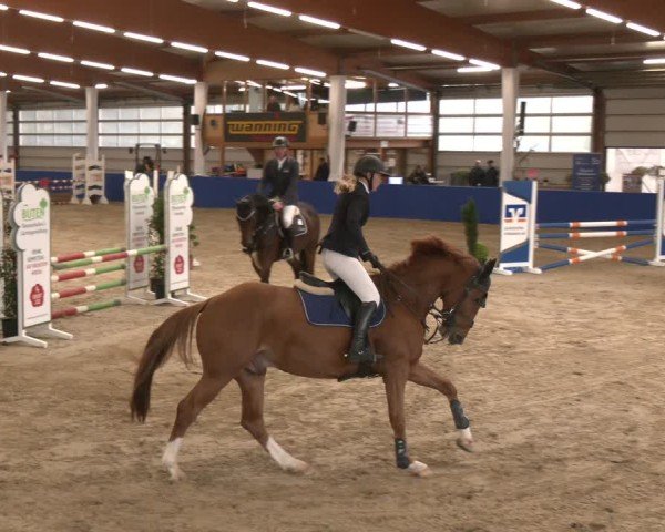 Reitturnier Isterberg 2024