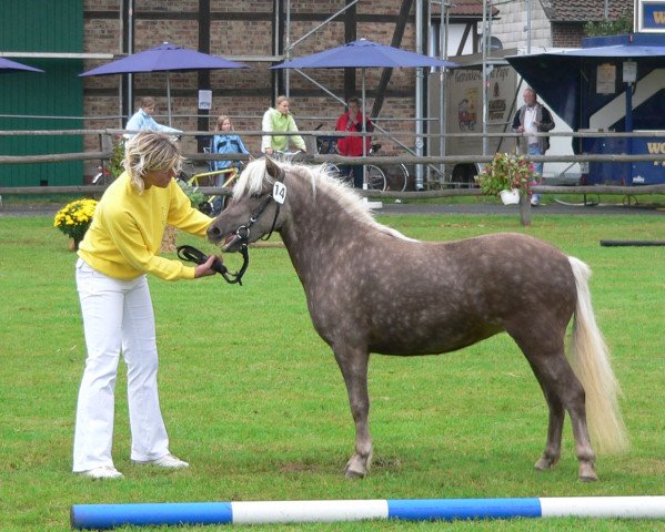 horse Best Girl v. Clus (German Classic Pony, 2004, from Jabolo)