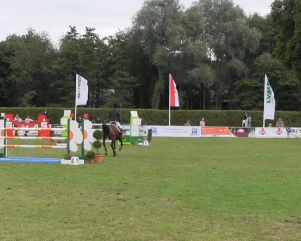 Westfalen-Woche 2013