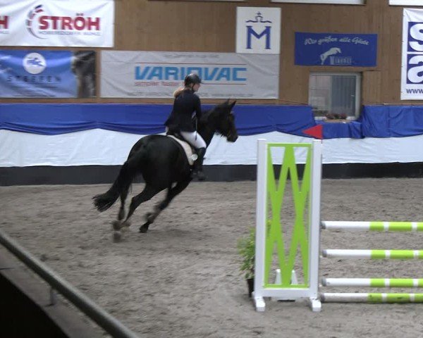 Reitturnier Gadebusch 2024