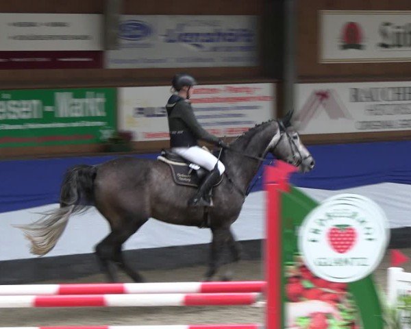 Reitturnier Gadebusch 2024