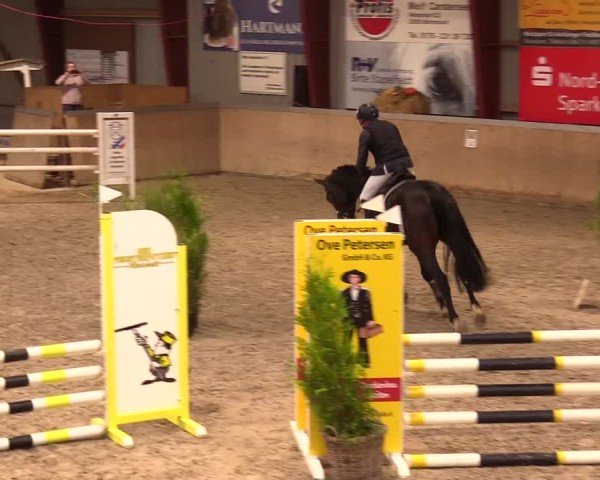 Reitturnier Behrendorf 2024