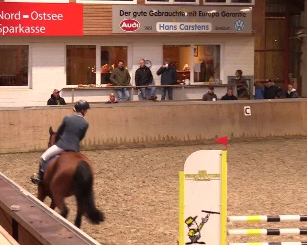 Reitturnier Behrendorf 2024