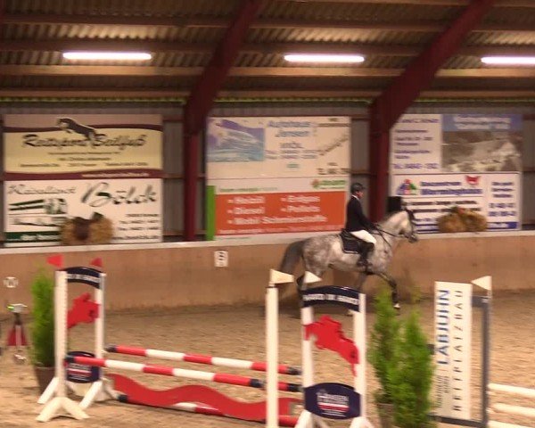 Reitturnier Behrendorf 2024