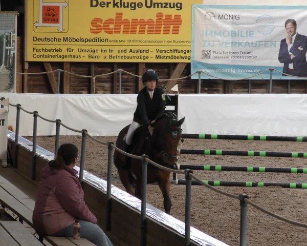 Reitturnier Böblingen 2024