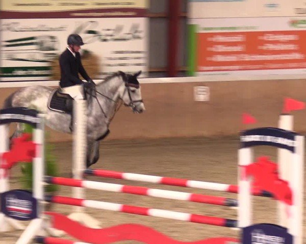 Reitturnier Behrendorf 2024