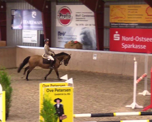 Reitturnier Behrendorf 2024