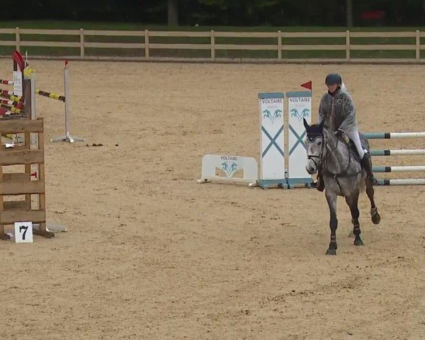 Reitturnier Tiefenhof/Opf. 2024