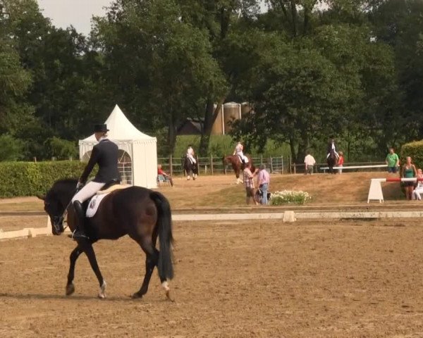 Westfalen-Woche 2013