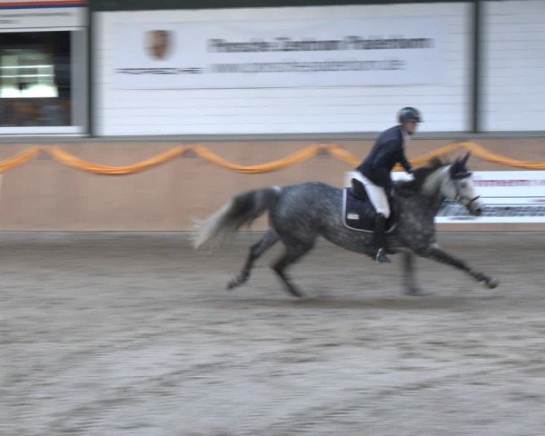 Reitturnier Salzkotten 2024