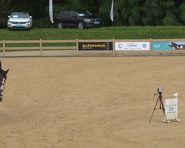 Reitturnier Tiefenhof/Opf. 2024