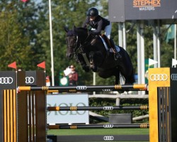 jumper Pandora van de Leeuwerk (Belgian Warmblood, 2015, from Grand Slam VDL)