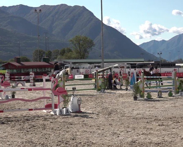 Reitturnier Giubiasco 2024