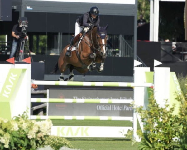 Springpferd Mijnheer van de Lentamel (Belgisches Warmblut, 2012, von Emerald van 't Ruytershof)