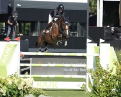 jumper Mijnheer van de Lentamel (Belgian Warmblood, 2012, from Emerald van 't Ruytershof)