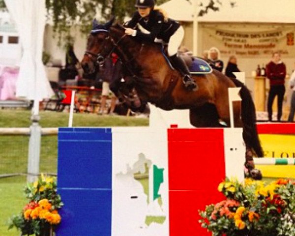jumper Shu B Dee (Irish Sport Horse, 2003)