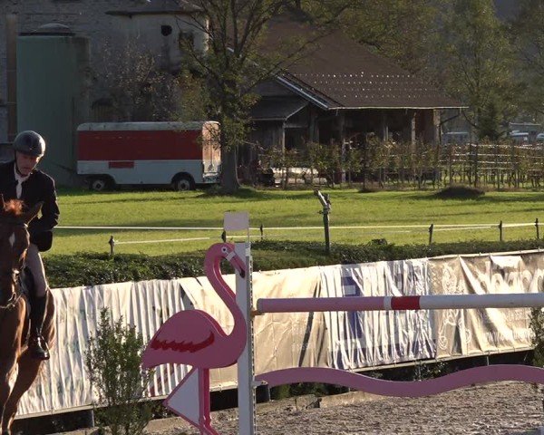Reitturnier Giubiasco 2024