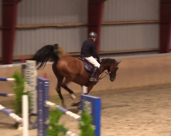 Reitturnier Behrendorf 2024