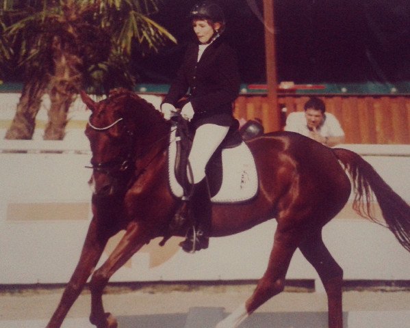 Springpferd Rush On 10 (Deutsches Reitpony, 1994, von Akiro)