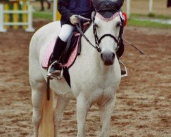 broodmare Jaspis (Welsh-Pony (Section B), 1991, from Home 'T' Ranch Yves Royalist)