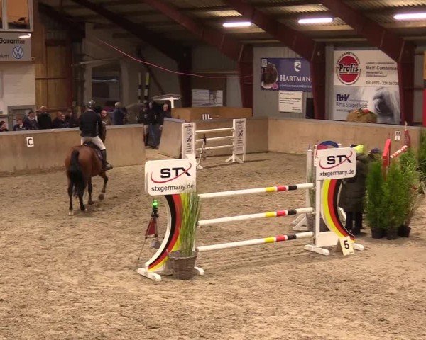Reitturnier Behrendorf 2024