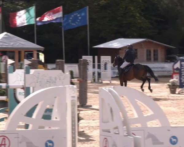 Reitturnier Ranshofen - Braunau am Inn 2024