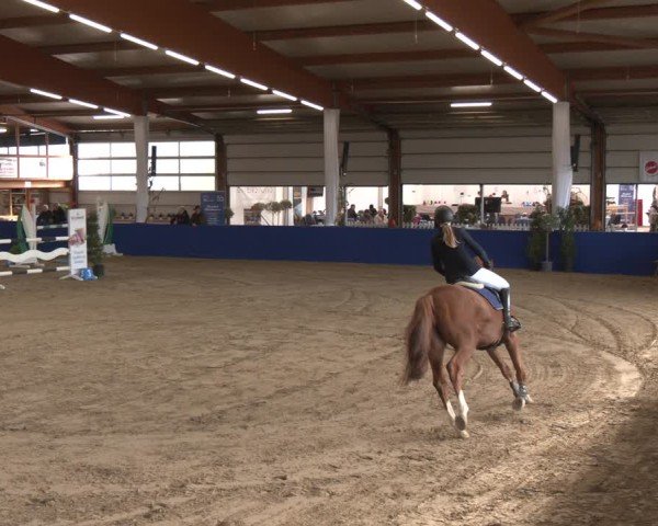 Reitturnier Isterberg 2024