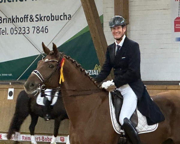 dressage horse Fahrenheit / De Niro (Westphalian, 2015, from Tannenhof's Fahrenheit)