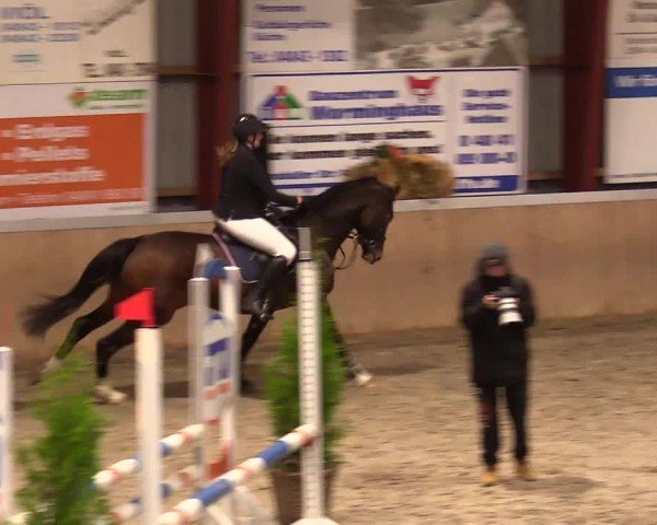 Reitturnier Behrendorf 2024