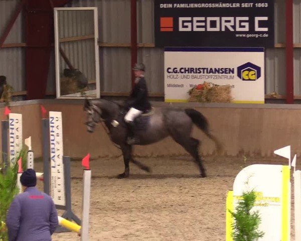 Reitturnier Behrendorf 2024