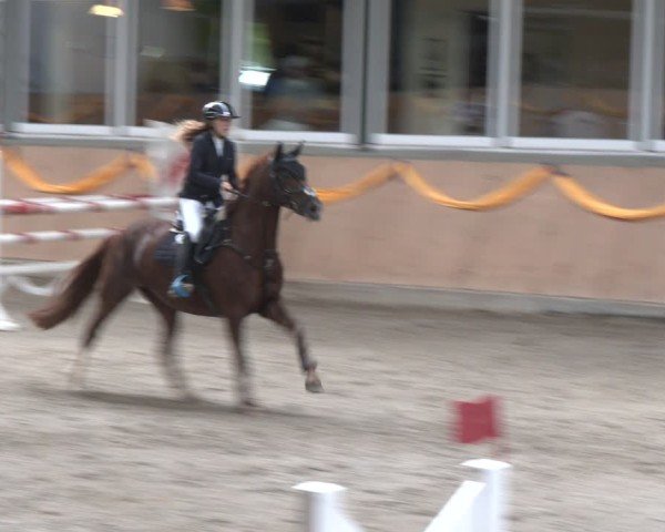 Reitturnier Salzkotten 2024
