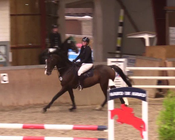 Reitturnier Behrendorf 2024