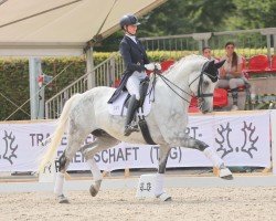 dressage horse Silverstone 35 (Trakehner, 2015, from Hopkins)