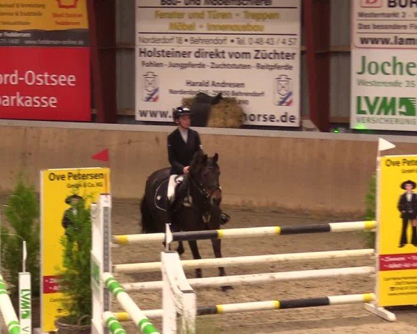 Reitturnier Behrendorf 2024