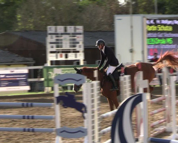 Reitturnier Teupitz 2024