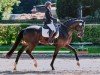 dressage horse For Eternaty 5 (Oldenburg, 2017, from Tannenhof's Fahrenheit)