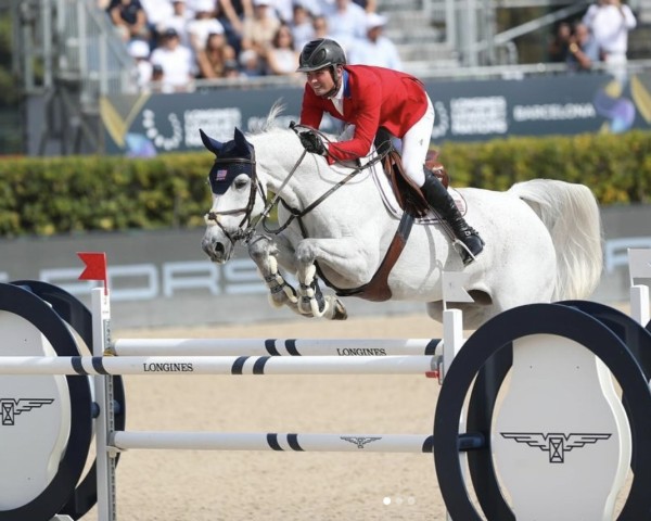 jumper Keeneland (Zangersheide riding horse, 2013, from Carmena Z)