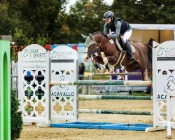 jumper Miss Malu 3 (German Riding Pony, 2016, from Mentos Charmeur)