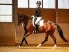 dressage horse Dancing Diarada (Oldenburg show jumper, 2010, from Diarado)