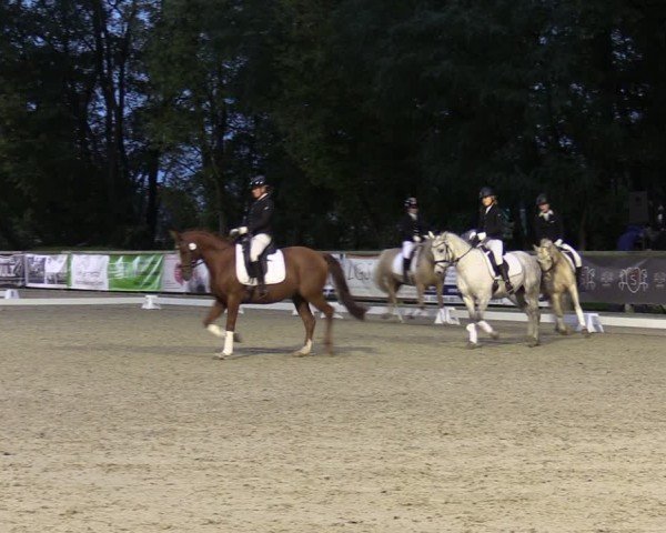 Reitturnier Ruhlsdorf 2024