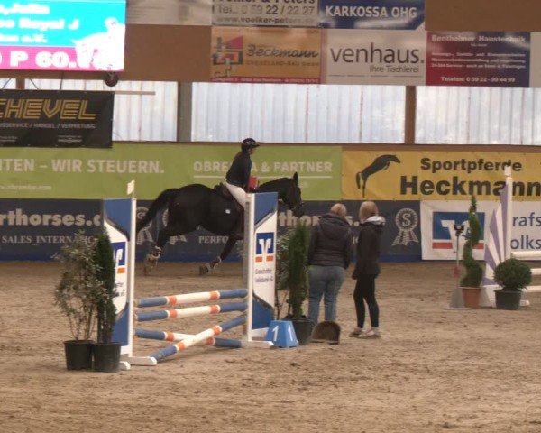 Reitturnier Isterberg 2024