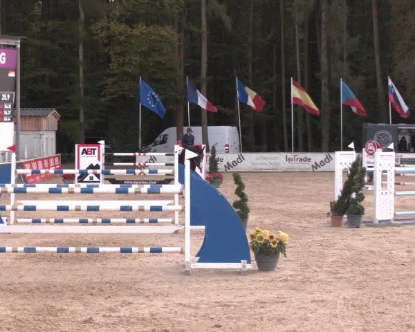 Reitturnier Ranshofen - Braunau am Inn 2024